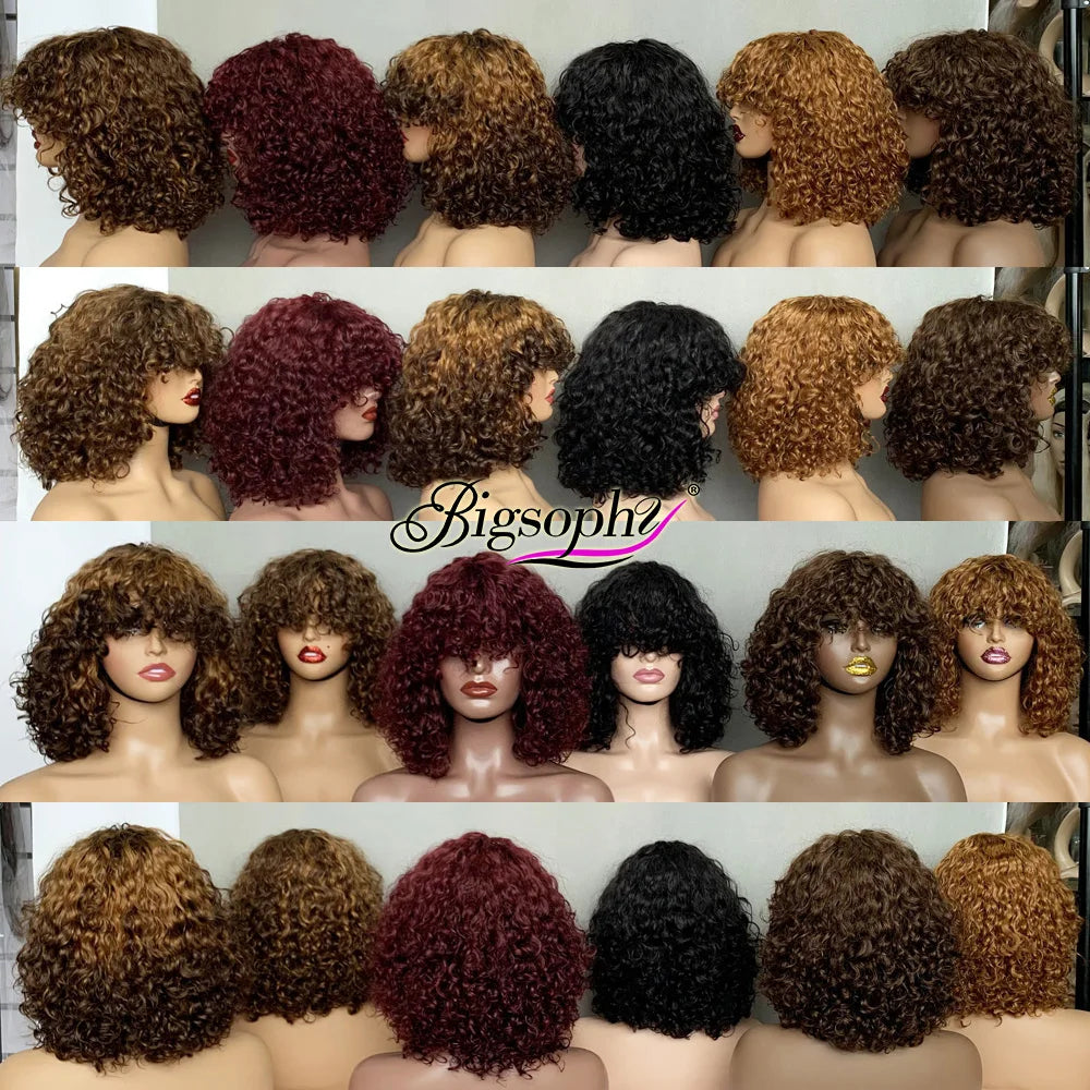 Curl Bob Wig for All Women Brazilian Curly Human Hair Wigs